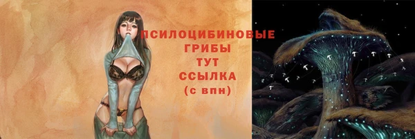 круглые Саяногорск